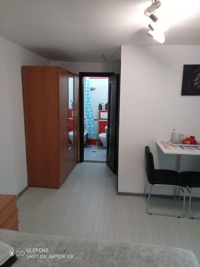 Apartament Cu Un Dormitor Spatios In Centrul Cluj-Napoca Exterior photo