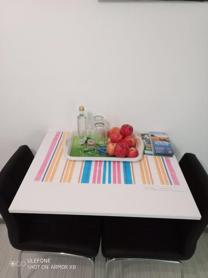 Apartament Cu Un Dormitor Spatios In Centrul Cluj-Napoca Exterior photo