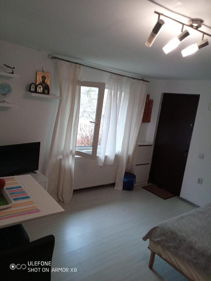 Apartament Cu Un Dormitor Spatios In Centrul Cluj-Napoca Exterior photo