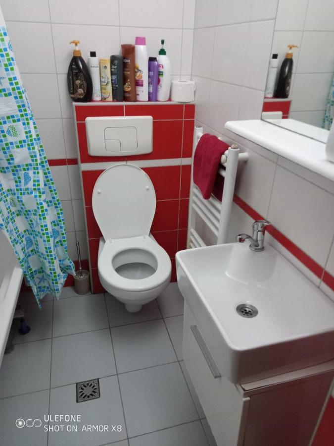 Apartament Cu Un Dormitor Spatios In Centrul Cluj-Napoca Exterior photo